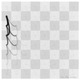 Illustration for article titled A Map Of The Most Common Paths For All 32 Chess Pieces